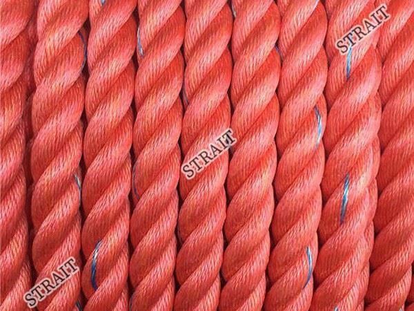 Polypropylene Vs Polyethylene